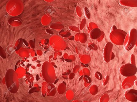 58420956-globules-rouges-globules-rouges-a-l-interieur-de-l-artere-ou-un-capillaire-vaisseau-sanguin-affichag.jpg