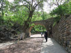 IMG_0546.JPG