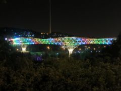 IMG_1285.JPG