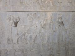 IMG_2503.JPG