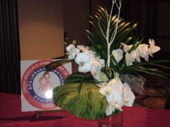 DSCF4022.JPG
