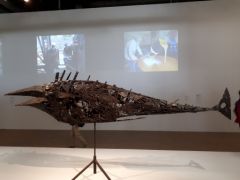 20180114_112605.jpg