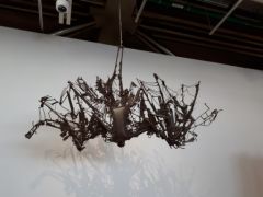 20180114_112953.jpg