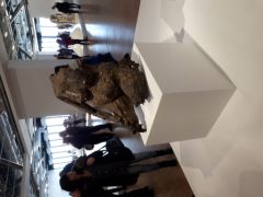 20180114_114651.jpg