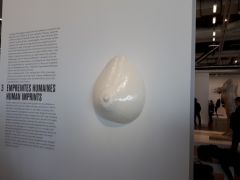 20180114_121938.jpg